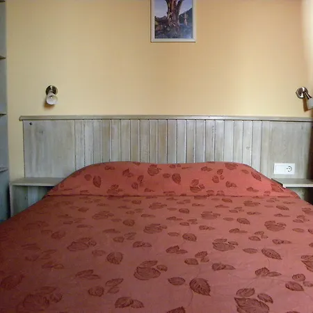 Saint Ivan Ski Apartments Bansko Room photo